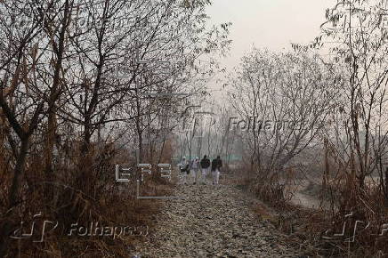 Cold wave hits Srinagar