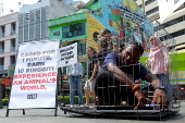 PETA offers 10 MYR (Malaysia Ringgit) or 02 Euro to be caged like an animal for one minute in launch of worldwide campaign in Kuala Lumpur