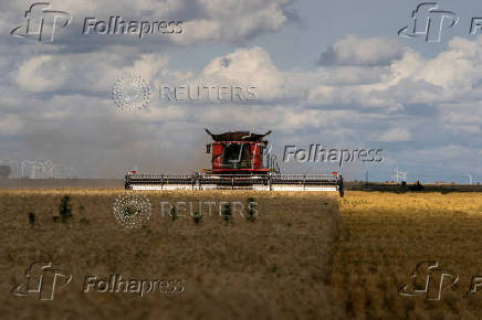 Farmers in U.S. heartland, where ties to wheat run deep, question crop's future