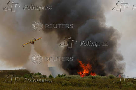 Wildfire on the outskirts of Abejera de Tabara