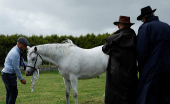 Agricultural show, in Athenry