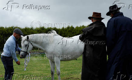 Agricultural show, in Athenry