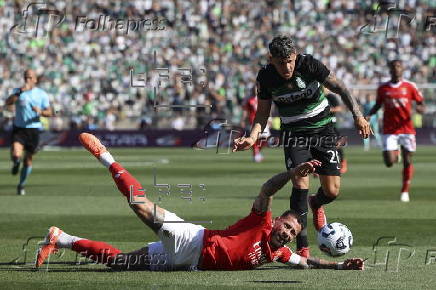 Portuguese Cup Final - Benfica vs Sporting