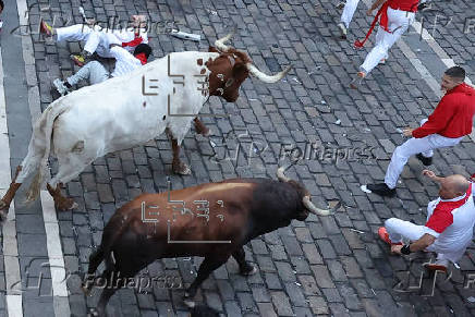 Los peligrosos Cebada Gago protagonizan el segundo encierro de los Sanfermines