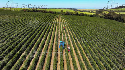 More Brazil coffee to China and indirect trades expected with Trump's 50% tariff