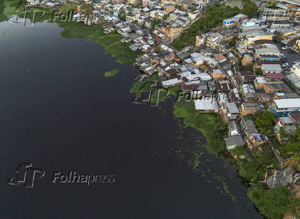 Cheia dos rios - Regiao do Rio Negro