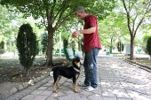 Iran expands dog-walking ban to several cities across the country