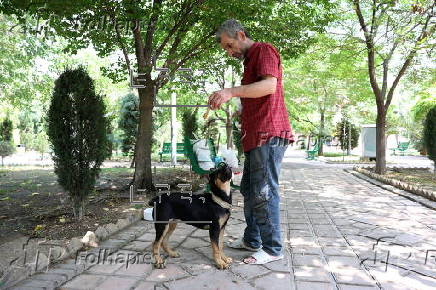 Iran expands dog-walking ban to several cities across the country