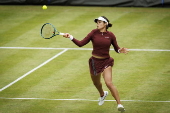 Queen's Club Championships tennis tournament in London