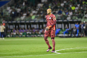 Partida entre PALMEIRAS X CERRO PORTENO (PAR) pela Copa Libertadores da América