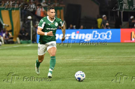 SÃO PAULO (SP), 25.05.2025 - Futebol / Palmeiras x Flamengo
