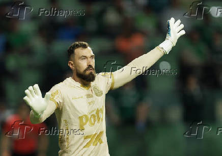 Campeonato Brasileiro Série A - Palmeiras e Mirassol