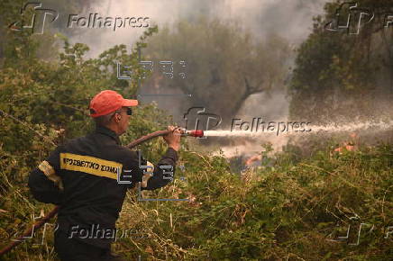 Wildfire in Greece's Peloponnese region