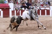 Toros en Zamora