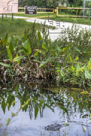 Florida's Alligator Alcatraz detention center