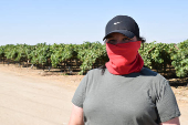 El miedo que se cosecha: jornaleros en California bajo las redadas migratorias