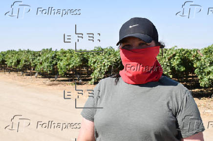 El miedo que se cosecha: jornaleros en California bajo las redadas migratorias