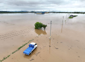 South Korea lashed by heavy rain