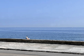Vida diaria en La Habana