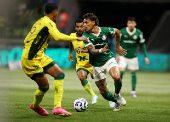 Brasileiro Championship - Palmeiras v Mirassol