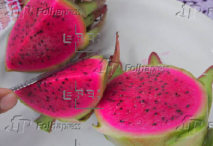 Productores del sur de México apuestan por cultivo de la pitahaya para arraigar a juventud