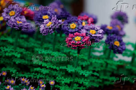 Bloom gardening and flower festival, in Dublin