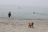 People enjoy the beach in West Wittering