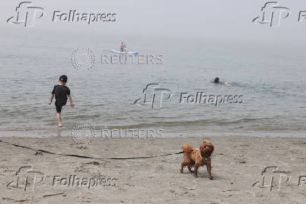 People enjoy the beach in West Wittering