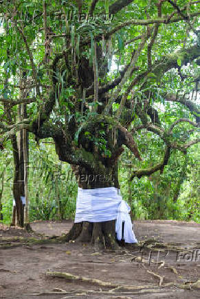Quilombo dos Palmares