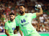 EHF Men's Handball Champions League - Third Place - Barcelona v HBC Nantes