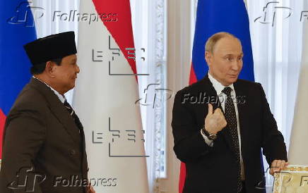 Russian President Putin meets Indonesian President Subianto in St. Petersburg