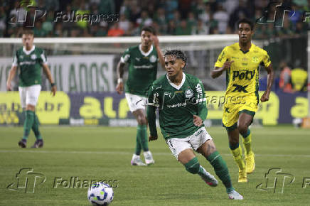 Match between Palmeiras and Mirassol for the Brazilian football championship