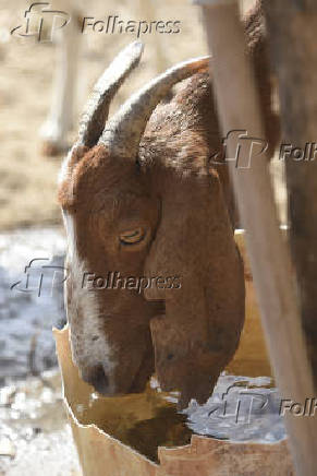 Agropecuaria
