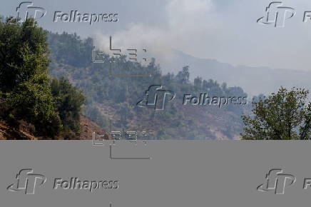 Wildfires break out in Morocco