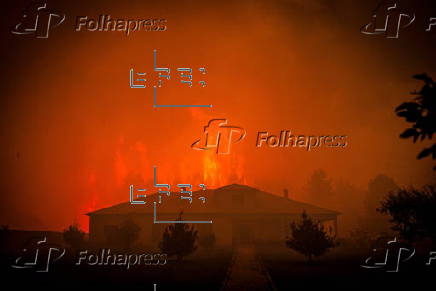 Wildfires in Portugal
