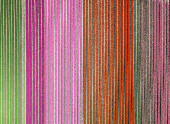 A drone view shows flower fields in Lisse