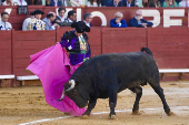 FERIA DEL CABALLO DE JEREZ