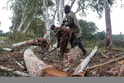 Timber exploitation in Nigeria's Kwara State