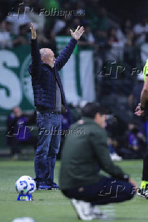 BRASILEIRO A 2025, PALMEIRAS X GREMIO
