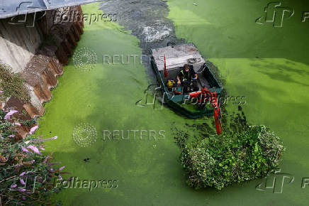 River Lea cleanup, in London
