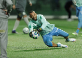 Campeonato Brasileiro Série A - Palmeiras e Mirassol