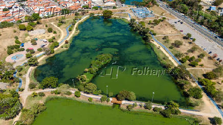Algas em Lago de Sorocaba