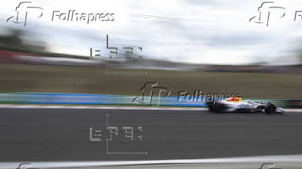 Formula One Hungarian Grand Prix - Practice and Qualifying
