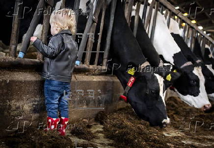 Open Farm Days in Spaarndam