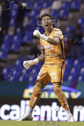 Liga Mx: Puebla - Santos