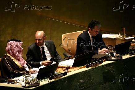 conferência internacional de alto nível para a solução pacífica da questão da Palestina e a implementação da solução de dois Estados.
