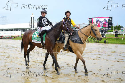 Horse Racing: Black-Eyed Susan