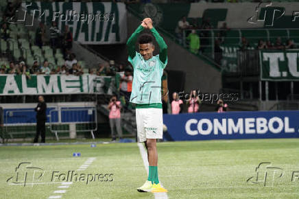 Partida entre Palmeiras (BRA) e Sporting Cristal (PER)