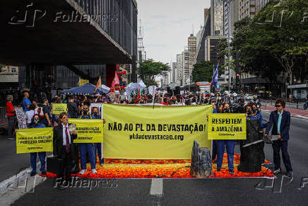 Manifestação pelo Clima Av. Paulista