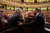 Pleno del Congreso